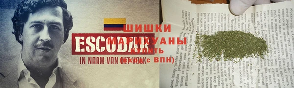 спиды Новодвинск