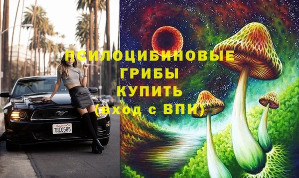 спиды Новодвинск