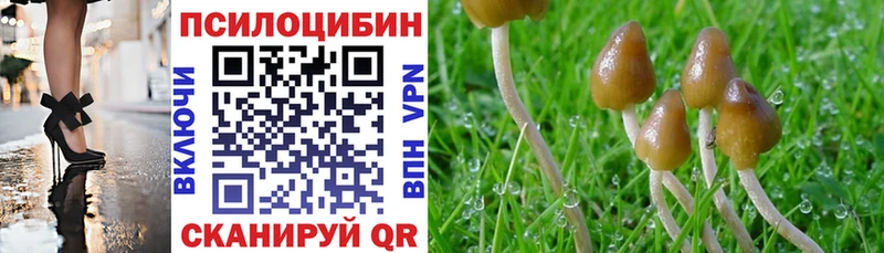 цены   Иланский  Псилоцибиновые грибы прущие грибы 